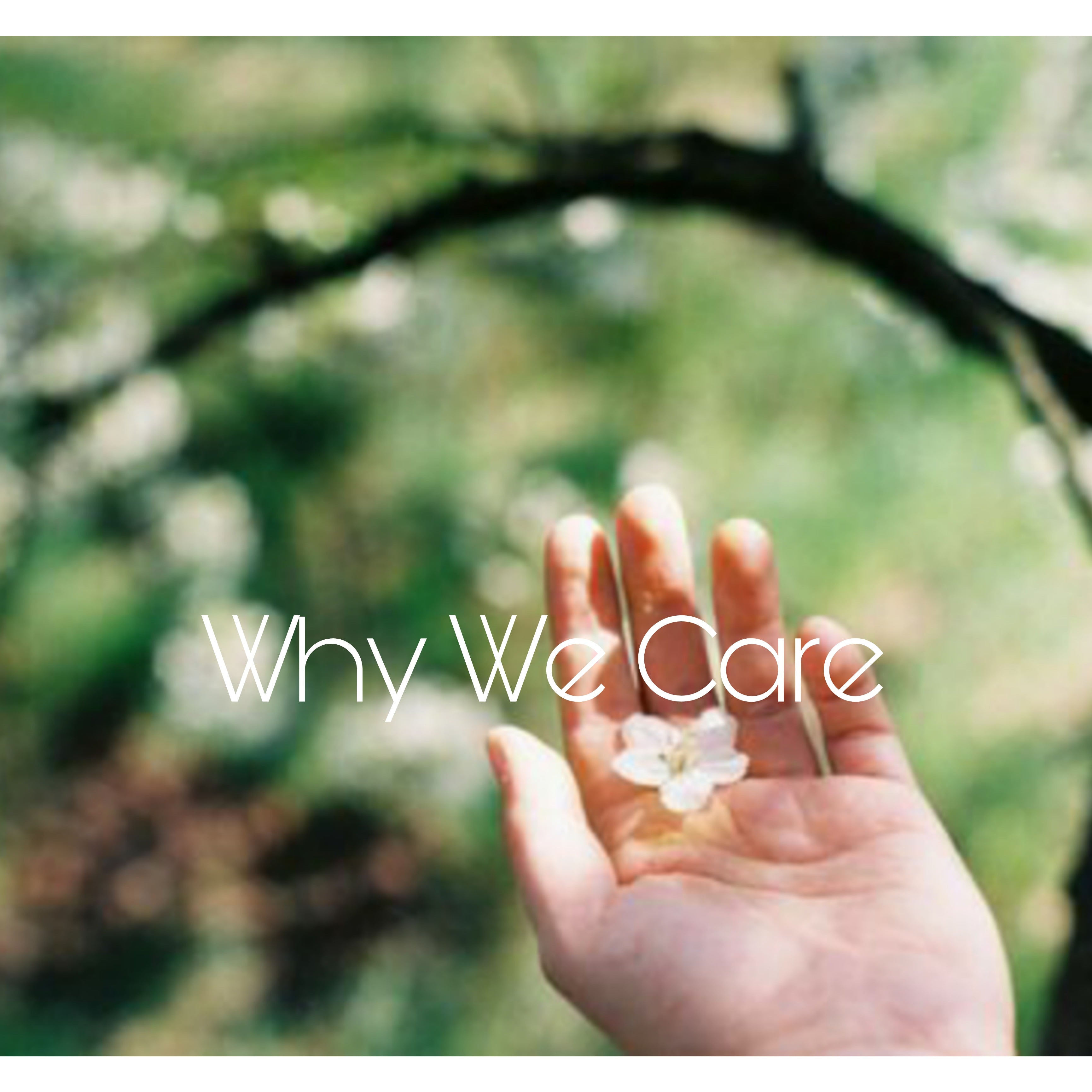 Why We Care
